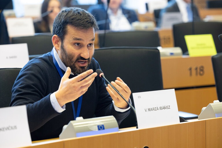 Vicent Marzà al Parlament Europeu