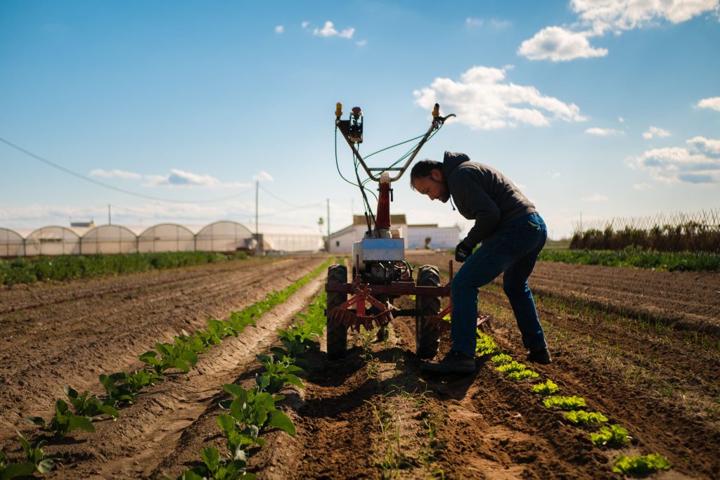 Agricultor valencià treballant a l'hort